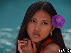 Anal, Asiat, Brunette, Hårdt, Lingerie, Ridning, Thai, Bryster