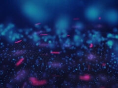 Amatéři, Kotě, Prsatá, Ženský, Monstrum, Přírodní prsa, Sólo, Kozičky