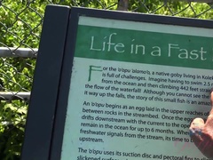 Sporco, Toccando, Orgasmo, Mutandine, Piccola, Pubblico, Figa, Alto