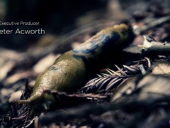 Bdsm, Blond, Fangenskap, Brunette, Dominans, Fingring, Skambelagt, Avstraffelse