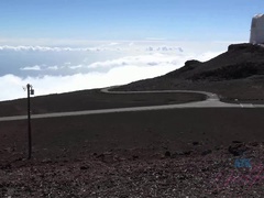 Kopalnica, Plaža, Bikinke, Fafanje, Rjavolaska, Prišlo v usta, Obrito, Joške