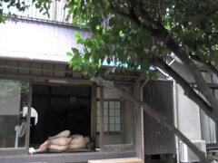 Hd, 日本人, レズビアン, 熟年, ティーン