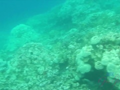Amaterji, Plaža, Fafanje, Prstni, Girlfriend, Olje, Orgazem, Mokra