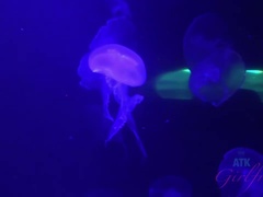 Amateur, Playa, Morena, Ébano, Hd, Pov, Tatuaje, Tetas