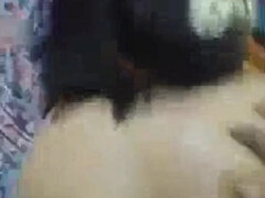 Asijské, Velký zadek, Velké kozy, Na pejska, Honění, Hardcore, Homemade, Indické