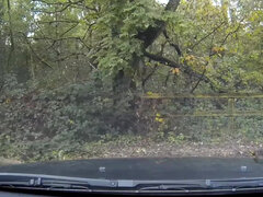 Hooker Sabina Black plowed in the car