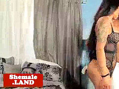 Anál, Veľké péro, Čierne, Podpätky, Honitba, Spodná bielizeň, Shemale, Tetovanie