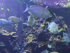 Пляж, Оргазм, На природе, От первого лица, На публике, Киски, Бритые, Подглядывание