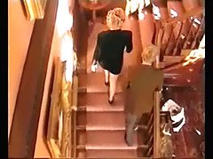 Tekintélyes didik, Cumizás, Klasszikus, Kugár, Csoport, Vöröshajú, Múltbéli divat, Régebbi évjáratú pornó