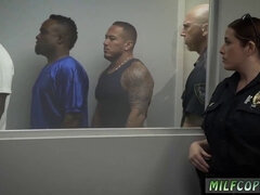 Musta, Puuma, Aisankannattaja, Kyrpä, Hd, Sekarotuinen, Poliisi, Teini