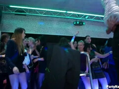 Leie, Grosse titten, Braunhaarige, Cfnm, Schwanz, Frau, Gruppe, Party