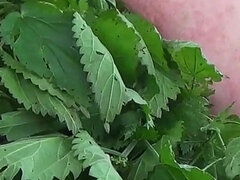 아마추어, 본디지 훈육 사디즘 마소치슴, 큰 엉덩이, 큰 클리토스, 페티쉬, 머리카락이 많은, 혼자, 엉덩이 때리기