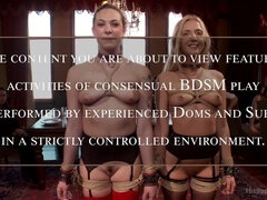 Anal, Bondage disciplin sadomasochisme, Trældom, Ydmidelse, Straf, Hård sex, Slave, Trekant