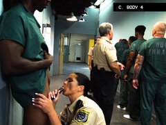 Store bryster, Pik sutte, Brunette, Hundestilling, Komme på ansigtet, Håndjob, Hd, Politi