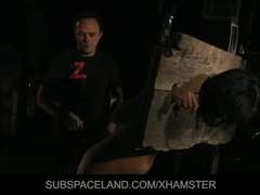 Kötözés – fegyelmezés, Gesztenyebarna, Maszti