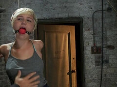 Bdsm, Bondáž, Dominace, Prstění, Ponížení, Trest