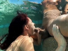 Kuřba, Na pejska, Vlasaté, Venku, Bazén, Zrzavé, Teenka, Kozičky