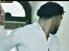 変態, 家族, フェティッシュ, ゲイ, 異人種間, ポルノスター, タトゥー