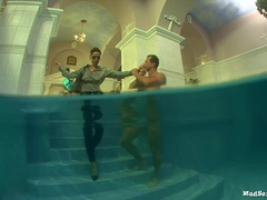 Schwarz, Hundestellung, Gruppe, Lecken, Höschen, Strumpfhose, Rotschopf, Rasiert