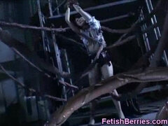 18, Trældom, Brunette, Sindssyg, Fetish, Janpansk, Monster, Bryster