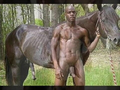 THE CHOCOLATE FACTORY #22 (BLACKSTALLION)