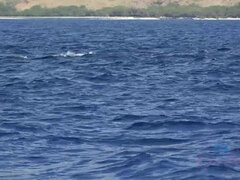 Culo, Bagno, Spiaggia, Sporco, Lavoro di piedi, Figa, Rasata, Tette