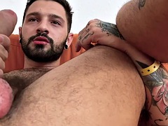 Anale, Bondage sadomaso, Pompino, Gay, Latina, Muscolo, Tatuaggi, Webcam