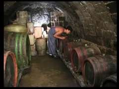 Olga East in wine cellar