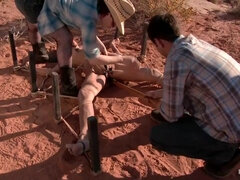 Ambers Torment In The Desert
