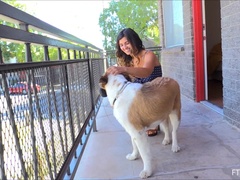 Klänning, Fingering, Klackar, Onani, Orgasm, Offentlig, Solo, Upskirt