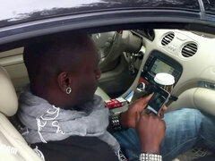 Monumentális dákó, Fekete