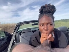 ぽっちゃり, 車, 捕まる, 黒人, ポリス, 公共