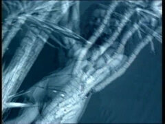 Pijpbeurt, Europees, Italiaans, Kut duiken, Ouderwets, Oud