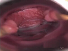 아마추어, 아시안, 일본인, 웹캠