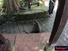 Amaterji, Azijci, Velika rit, Fafanje, Kurac, Medrasni seks, Prvoosebno snemanje seksa, Tajka