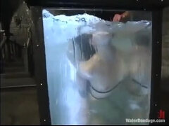 Aranyos, Gesztenyebarna, Krémes süti, Uralkodás, Láb, Fétis, Orgazmus, Lövellt