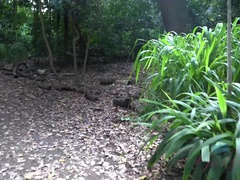 Strand, Braunhaarige, Fingern, Freundin, Öffentlich, Muschi, Rasiert, Titten