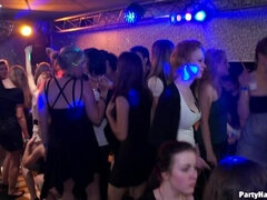 Oblečené ženy, Striekanie semena, Tanec, Na psíka, Hardcore, Medzirasové, Swingers, Kozičky