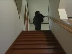 Amatőr, Ázsiai, Kisbaba, Japán