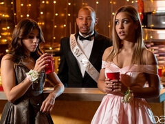 Pijpbeurt, Bruinharig, Handbeurt, Zoenen, Likken, Kut duiken, Mager, Trio