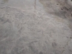 Amatør, Store smukke kvinder, Par, Ældre kvinde