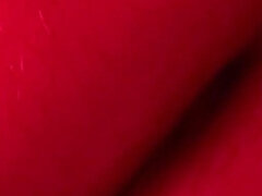 Ερασιτέχνης, Μεγάλος κώλος, Ευρωπαίος, Ομοφυλόφιλος, Μόνος, Ελβετός