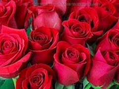 Stunning mature woman Desi Mazaa cheats on her husband to get wild with her boss in a motel