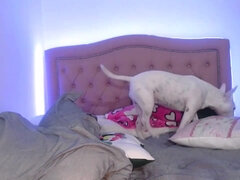 Africké, Zadek, Velký zadek, Šílené, Různé pohledy, Pička, Kozičky, Webkamera