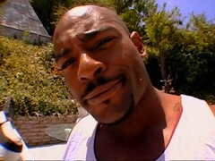 Pauzão, Loiroa, Boquete, Morena, Animadora de torcida cheerleader, Jato de porra, Hardcore, Vintage