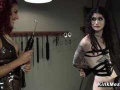 Culo, Nero, Bondage, Dominazione, Dominazione femminile, Lesbica, Dominatrice, Schiavo