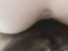 Stor stjärt, Par, Hemmagjord, Latina