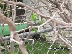 Leie, Blasen, Studentin, Hochschule, Flotter vierer, Gruppe, Party, Realität