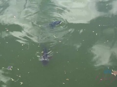 Stiefel, Emotionale dirne, Flashen, Freundin, Pov, Muschi, Rasiert, Kurzes haar