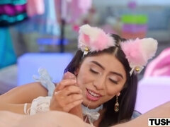 Anal, Beauté, Gros seins, Brunette brune, Tir de sperme, Poilue, Hd, Orgasme